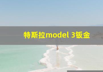 特斯拉model 3钣金